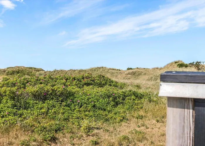 Ln1955-hirtshals-strandklitten-3 *